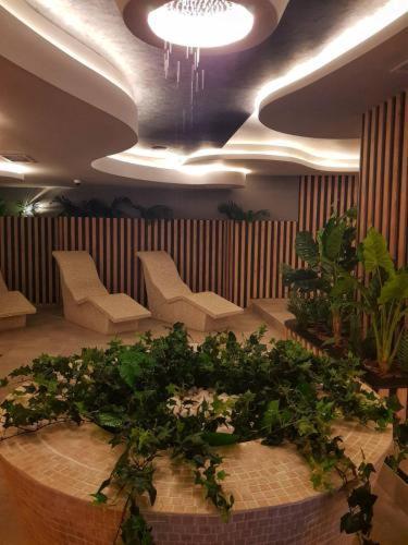 Apartament Lux 3 Titova Sony Ps Gratis